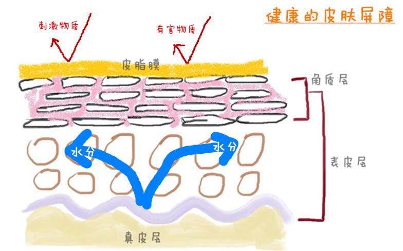 军事迷的护肤解读：我将合理清洁、保湿、防晒